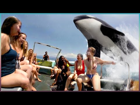 МГНОВЕННАЯ КАРМА, Снятая На Камеру!