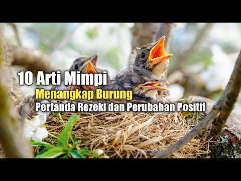 10 Arti Mimpi Menangkap Burung, Pertanda Rezeki dan Perubahan Positif