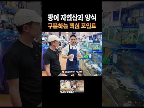 광어 자연산과 양식 구분하는 핵심 포인트