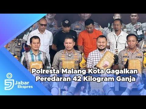 Polresta Malang Kota gagalkan peredaran 42 kilogram ganja