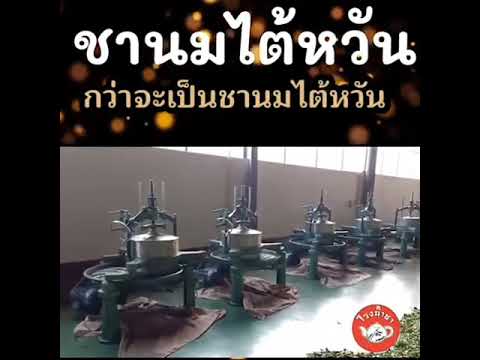รีวิว-ชานมไต้หวัน-ของโรงน้ำชา- รีวิว-ชานมไต้หวัน-ของโรงน้ำชา-
