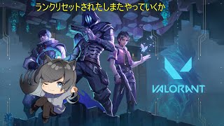 #初見さん歓迎　やるかぁ　一週間に2回しか配信出来てない　 　　概要蘭必ずチェック！！　視聴者参加型