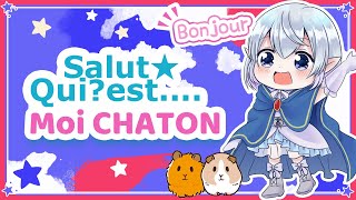Qui est Moi CHATON?【FR】