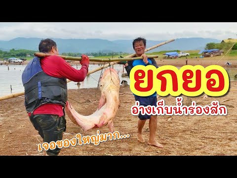 ยกยออ่างห้วยสัก►Fishinglife