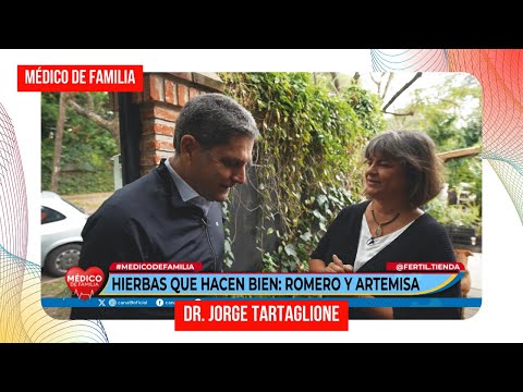 Romero y Artemisa | Hierbas que hacen bien | Médico de familia | Dr. Jorge Tartaglione