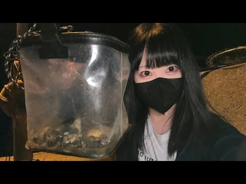 【釣りライブ配信】春の海で食材を狩る女。