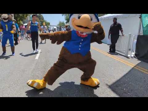 My 1st ever Mascot Block Party Dance Off