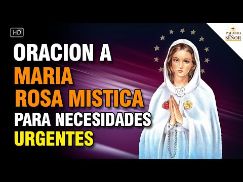 Oración a MARÍA ROSA MÍSTICA para urgentes necesidades y problemas  - Palabra Del Señor