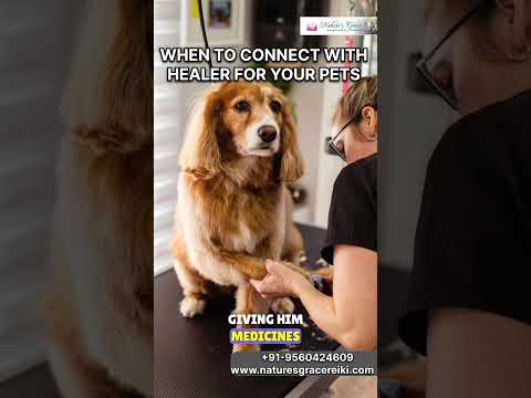 Healer for Pets #animalhealing #animalreiki #pets #healer  #holisticpetcare @drneelamparwani