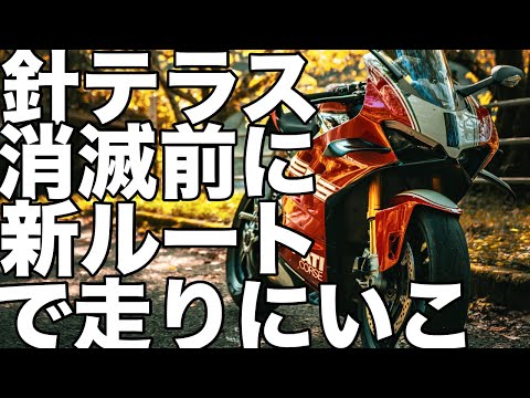 奈良県【針テラス】残りわずか！新ルートを教えてもらったので、ワインディングを抜けてパニカーレで走ってきた
