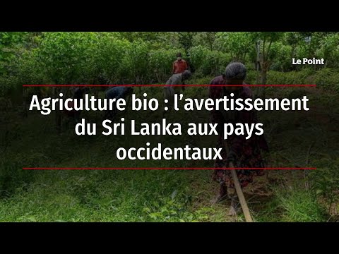 Agriculture bio : l’avertissement du Sri Lanka aux pays occidentaux