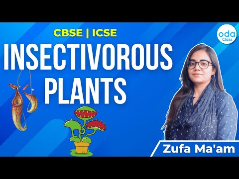 5 Amazing Facts About Insectivorous Plants