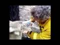 Thirsty Koala - A Firefighter Gives Koala A Drink (2009 Australian Bushfires)