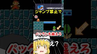 TAS降りをしないとパックンを越えられないコースがムズすぎたww【マリオメーカー2】