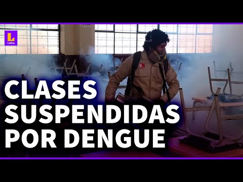 Dengue en Piura: Suspenden clases en 3 mil colegios para fumigar por la emergencia
