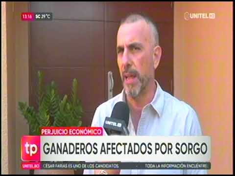 19072024 FERNANDO CESPEDES GAANDEROS AFECTADOS POR SORGOV UNITEL