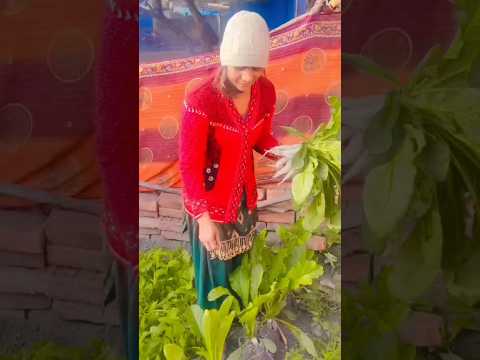 #ye mehki hawayen ye mehki fijayen#🥰🥰 shorts video