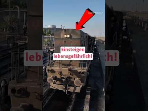 Macht DIESER Zug dein Benzin billiger?
