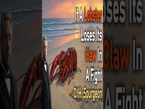If A Lobster Loses Its Claw In A Fight - C. H. Spurgeon Devotional #shorts #christianshorts #Jesus