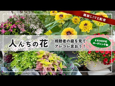 【8/1 21:30〜】ともHOME夏のガーデニング部・視聴者の庭を見てみよう！【雑談生配信】