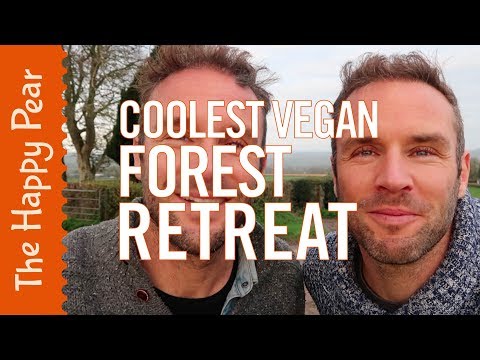 THE COOLEST VEGAN FOREST RETREAT EVER! | THE HAPPY PEAR