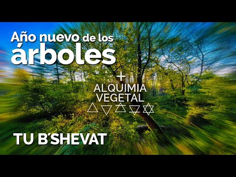 TU B´SHEVAT + Alquimia vegetal - Año nuevo de los árboles 2025