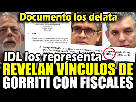 ¡Confirmado! Documentos revelan que IDL representa a Rafael Vela y José domingo Pérez ante CIDH