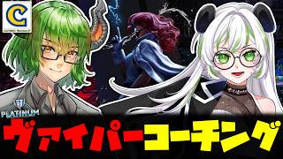 【 スト6 】いつの間にかプラチナになってる！？ きみつさんにヴァイパーコーチング！ #CCJP 【 VTuber 】《 ストリートファイタ