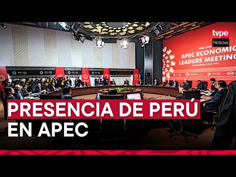 APEC 2024: oportunidades y desafíos para el Perú