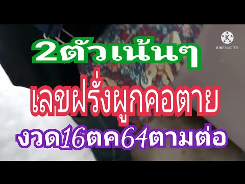 2ตัวเน้นเลขฝรั่งผูกคอตายงวด16ต 2ตัวเน้นเลขฝรั่งผูกคอตายงวด16ต