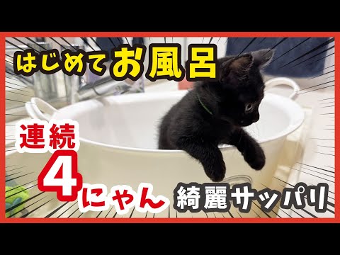 お風呂が初めての子猫ちゃんの反応が可愛すぎる！