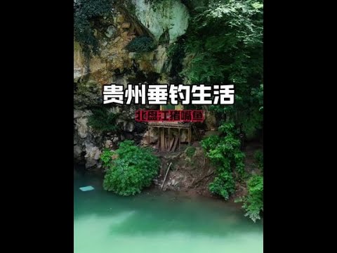 解锁北盘江神秘鱼种:猪嘴鱼!谢谢大家支持!#碧春酱酒 #蓝鲫青春版六蟲腥香 #沃鼎王者神剑三代 #原来钓鱼才是抖音运动顶流 #dou是钓鱼人