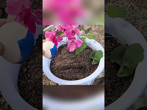 7 бытовых хитростей, которые улучшают жизнь!