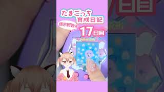 【#たまごっち】ピンクのほーほっちを狙っていたはずなのに…！？ #tamagotchi #Vtuber #shorts