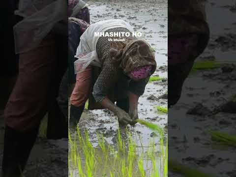 Vk khusoh MHASHITO HO