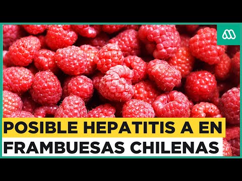 Alertan posible contaminación de frambuesas chilenas con hepatitis A en Estados Unidos