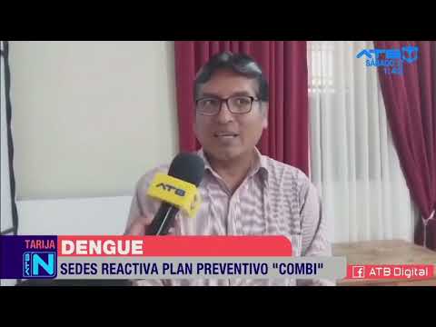 Tarija se pone en alerta por el incremento de casos de dengue
