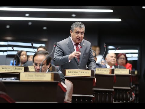 PLD sugiere al Gobierno imitar a Sánchez Cardenas buscando vídeos en YouTube