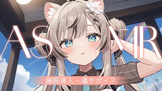 【ASMR】 ぐっすり寝れる・囁きボイス/ Earcleaning / whispering