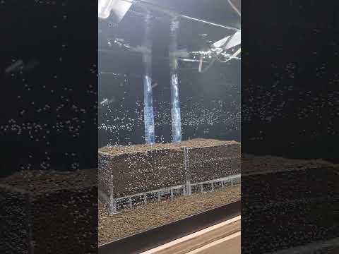 We Have Water - New Caridina Shrimp Tank Rack 