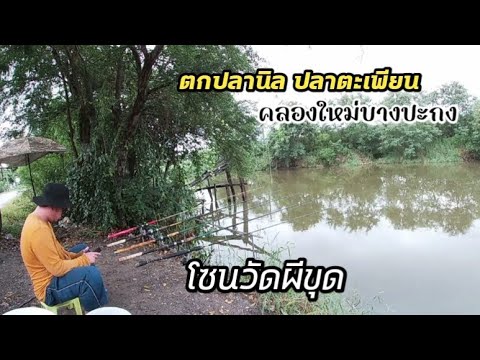 ตกปลานิลปลาตะเพียนคลองใหม่บา