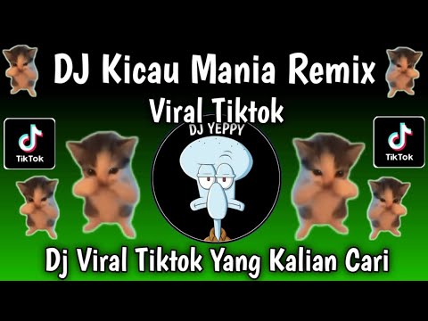 DJ KICAU MANIA REMIX TIKTOK VIRAL TERBARU 2026