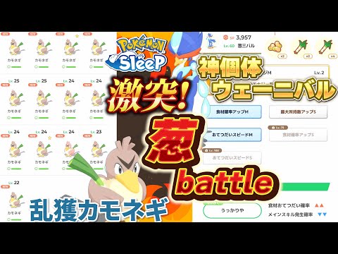 【激突!葱バトル！】その辺で見つけたカモネギと神個体ウェーニバル葱数比較してみた。【ポケモンスリープ】