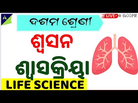 Respiration(ଶ୍ୱସନ) 10th class life science chapter-2 in odia |10th lifescience in odia| ଶ୍ୱାସକ୍ରିୟା