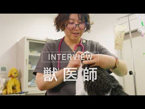 【船橋市職員インタビュー】獣医師