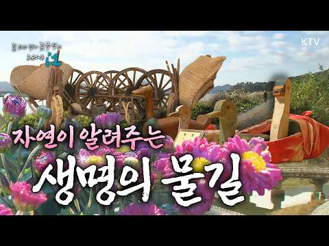 꽃과 풀이 흐르는 강 - 영산강 (함평군)｜길 위의 작가 김주영의 로드다큐江 📜<strong>2011년</strong> 11월 4일 방송