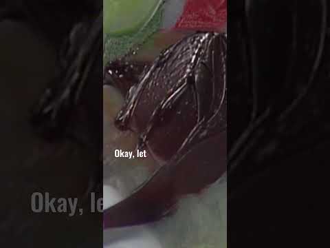 Bob Ross creates the backdrop for an Autumnal Painting