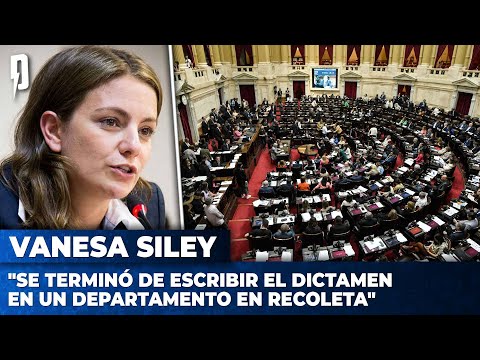 Vanesa Siley: Se terminó de escribir el dictamen en un departamento en Recoleta #LeyÓmnibus