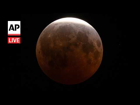 Lunar eclipse 2026: LIVE view from across the world