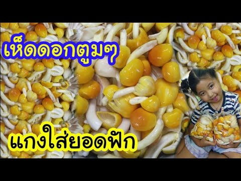 เห็ดระโงกเห็ดไข่เหลืองแกงใส่ย